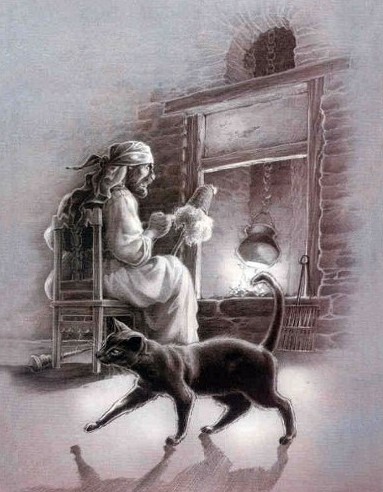 El hombre y el gato